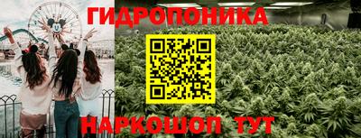 амф Конаково